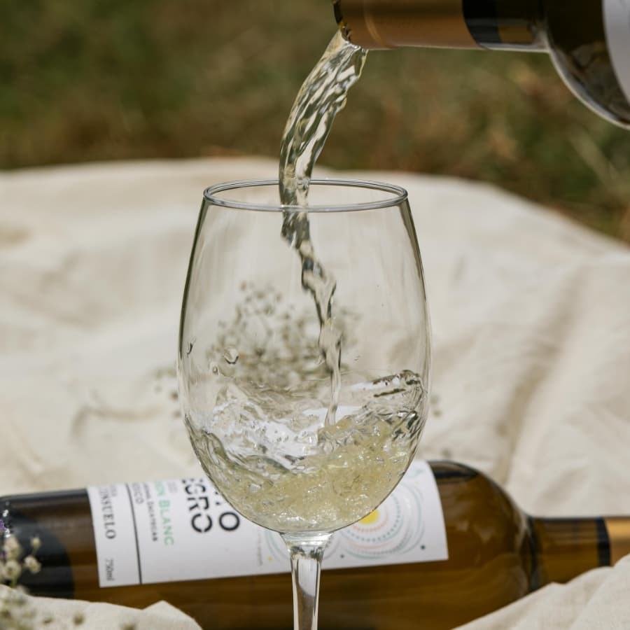 Copa de vino